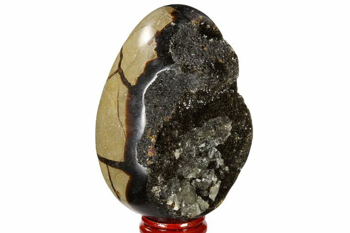 Septarian Dragon Egg Geode - Black Crystals #118767
